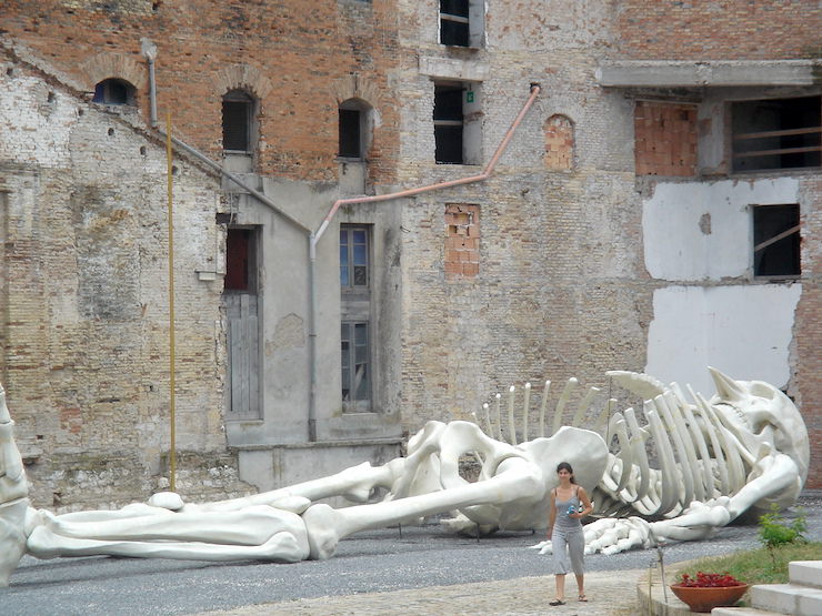 villard-6-ancona-2005-4